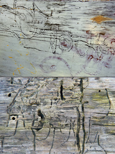 graffiti on dumpster / insect tunnels in dead log