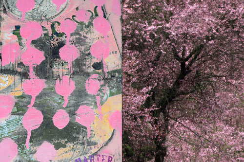 spray-painted weathered skete board bottom / pink cherry tree blossoms off Broadway