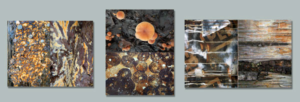 Charcoal & Rust Diptychs